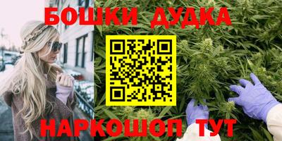 дмт Новокубанск