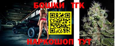 тгк Новодвинск