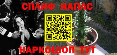 дмт Новозыбков