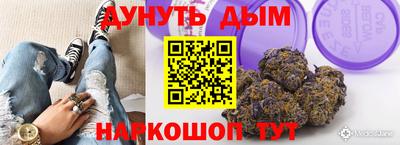 тгк Новодвинск