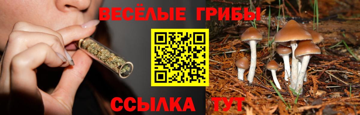 Псилоцибиновые грибы прущие грибы  Вход с VPN  Сызрань 