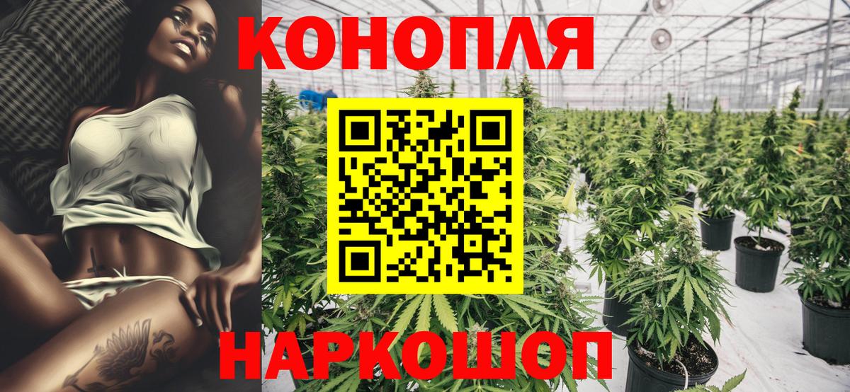 Бошки Шишки семена Сызрань
